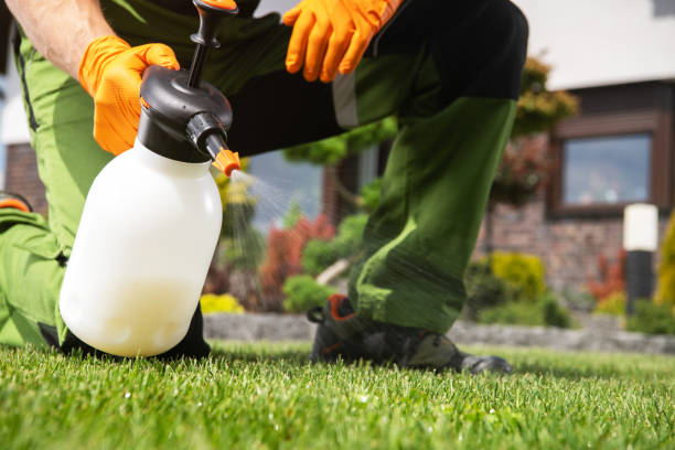Best Insect Control  in Charlack, MO