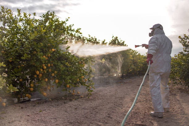 Pest Prevention Services in Charlack, MO