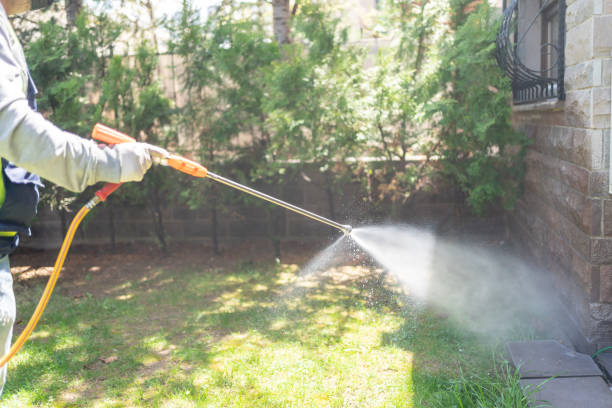 Best Affordable Pest Control Services  in Charlack, MO