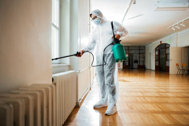 Best Termite Control Services  in Charlack, MO